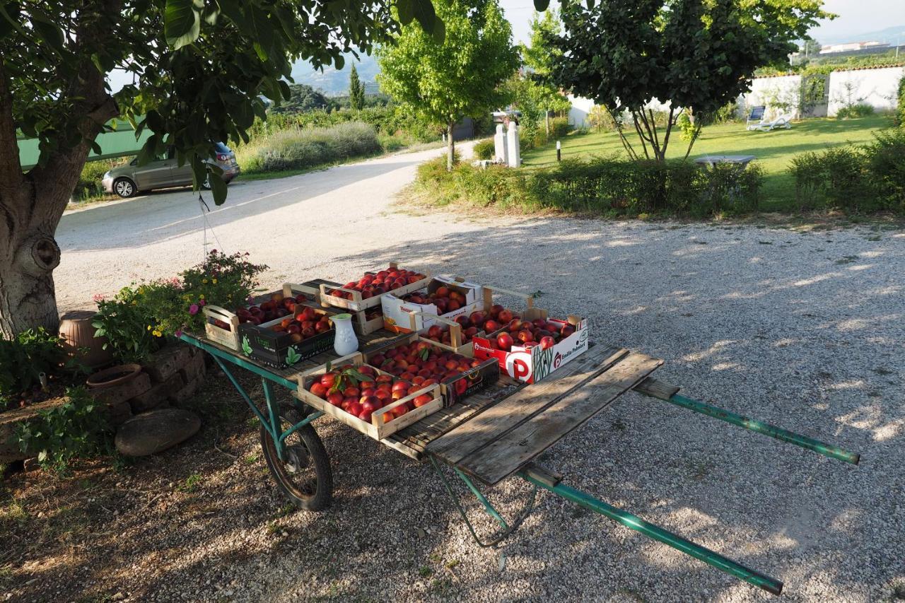 Agriturismo Fior Di Maggio Pescantina Exterior foto