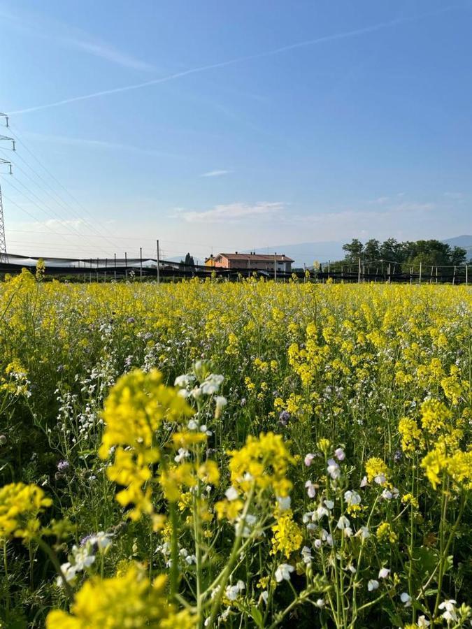 Agriturismo Fior Di Maggio Pescantina Exterior foto