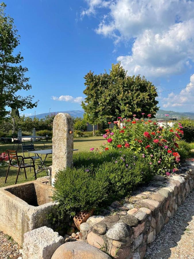 Agriturismo Fior Di Maggio Pescantina Exterior foto